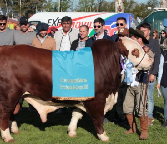 Los Mejores Reproductores Bovinos Se Consagraron En La 72° Expo Rural De Jesús María