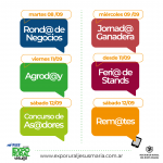 placas CRONOGRAMA Actividades-02