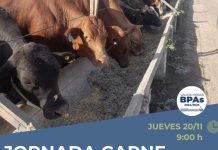 UN NUEVO PUNTO DE PARTIDA PARA LA GANADERÍA REGIONAL