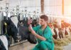 LUNES 9 DE MARZO: INICIA SUS SERVICIOS EL LABORATORIO DE DIAGNÓSTICO ANIMAL SRJM