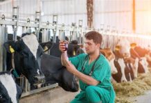 LUNES 9 DE MARZO: INICIA SUS SERVICIOS EL LABORATORIO DE DIAGNÓSTICO ANIMAL SRJM