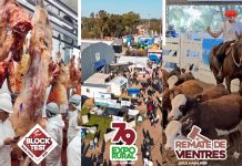 UNA AGENDA HISTÓRICA – PRESENTAMOS LOS PRINCIPALES EVENTOS DEL AÑO