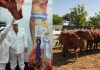 BLOCK TEST JESÚS MARÍA 2026: ABREN LAS INSCRIPCIONES PARA PRODUCTORES DE TODO EL PAÍS