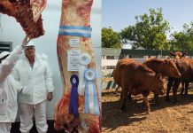 BLOCK TEST JESÚS MARÍA 2026: ABREN LAS INSCRIPCIONES PARA PRODUCTORES DE TODO EL PAÍS