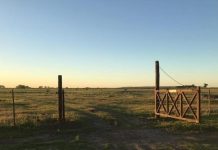 JUNIO 2026: PANORAMA DEL MERCADO INMOBILIARIO RURAL DE CÓRDOBA