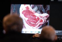 GANADORES EN LAS JURAS CARNICERAS DEL BLOCK TEST JESÚS MARÍA 2026