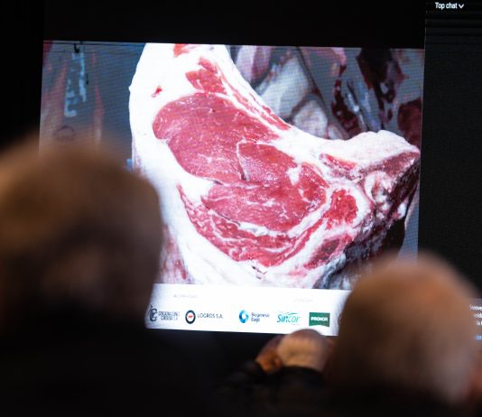 GANADORES EN LAS JURAS CARNICERAS DEL BLOCK TEST JESÚS MARÍA 2026